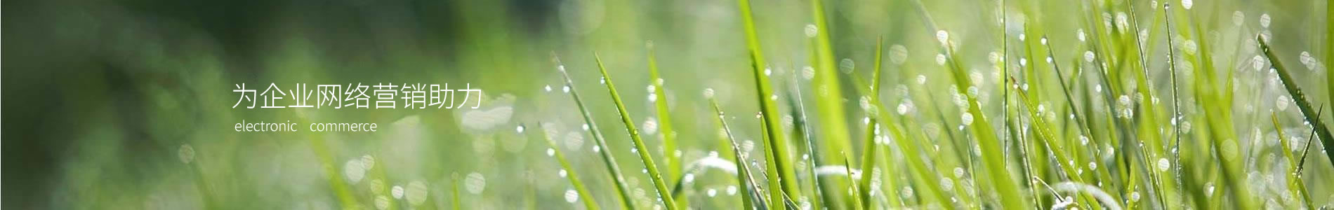 ԥؼ޹˾